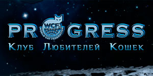 Сайт для клуба Прогресс